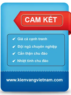 cam-ket-dvd