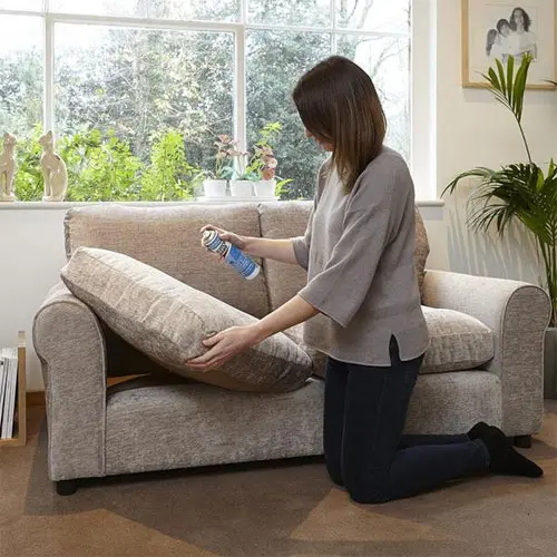6 cách khử mùi hôi ghế sofa đơn giản, hiệu quả tại nhà