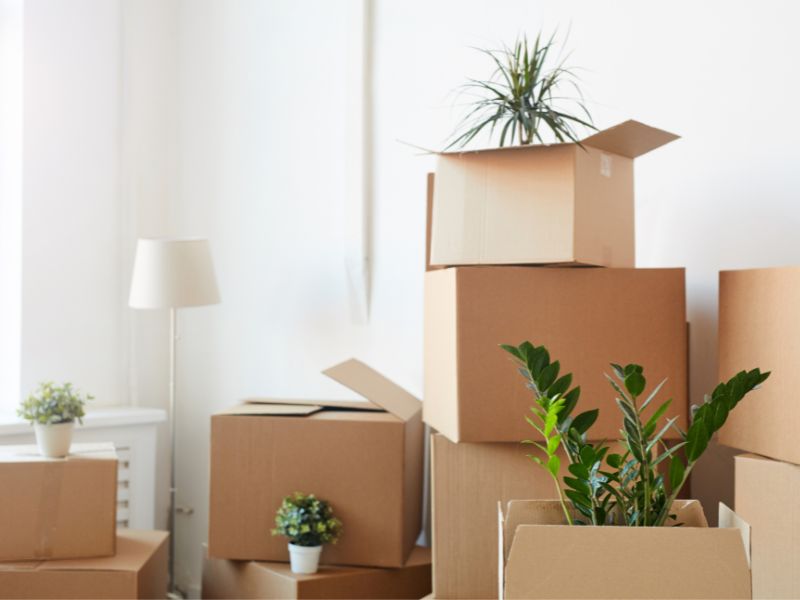 Chuyển nhà tại quận Long Biên