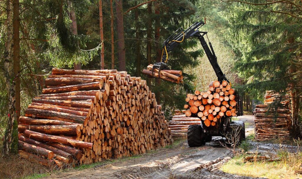 thủ tục vận chuyển gỗ vườn nhà