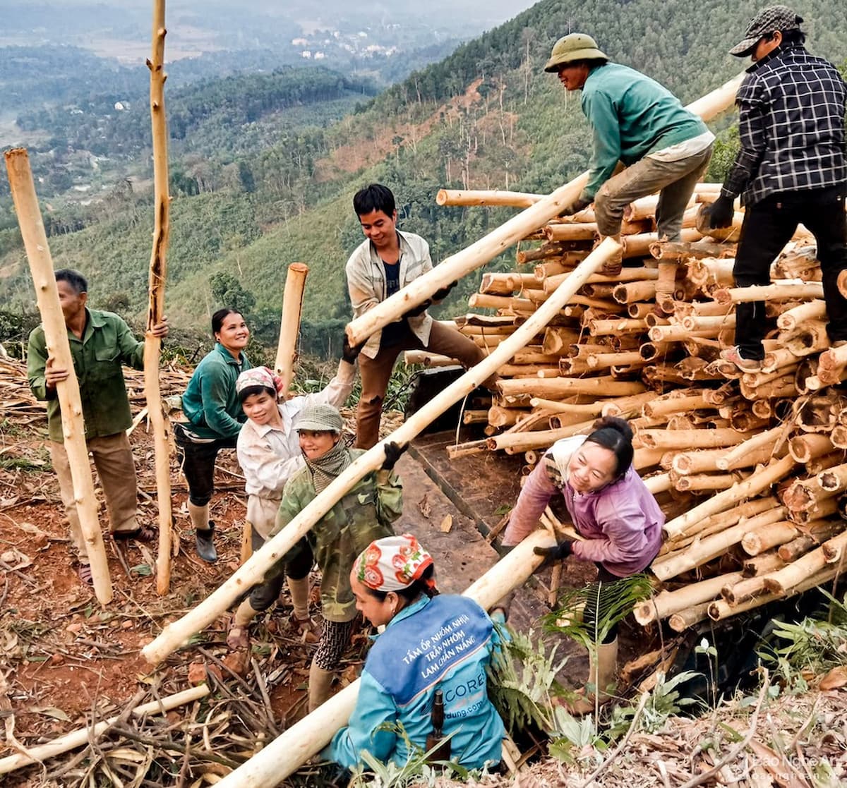 Bố trí nhân sự bốc xếp là một phần không thể thiếu với thủ tục vận chuyển gõ vườn nhà
